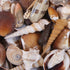 medium beige tan shell mix